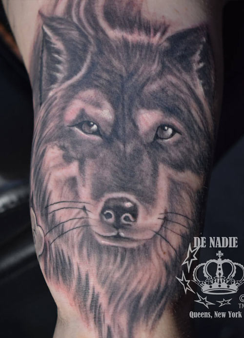 Wolf tattoo done by Infierno at Pain ink NY